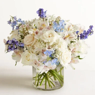 Loving Sentiments™ Blue & White