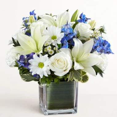 Healing Tears™ Blue & White